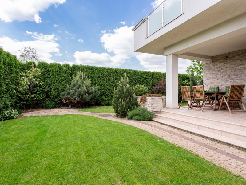 Real Estate Search Engine ALGERIA